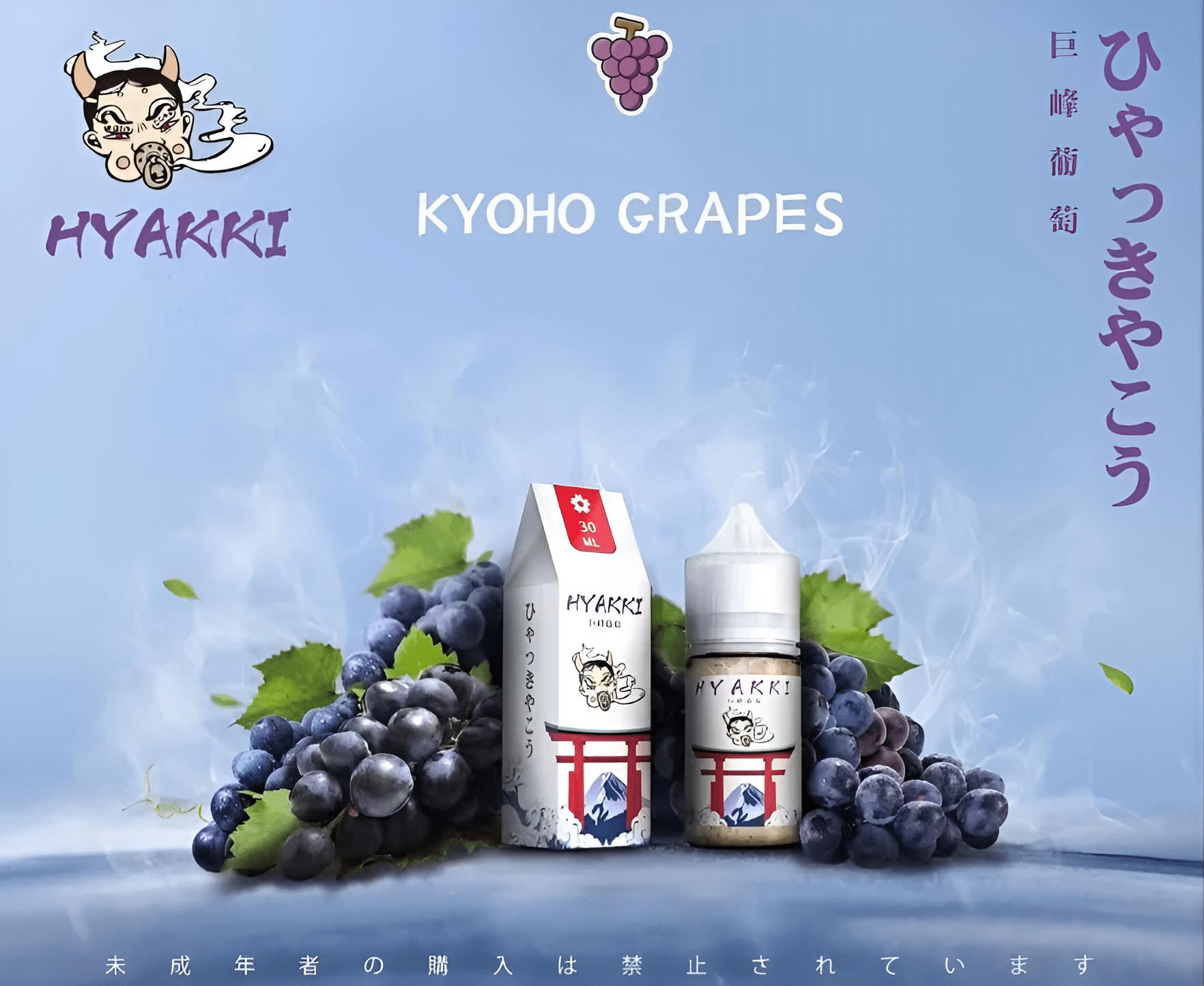 HYAKKI 哈亞齊日系進口 30ml／35mg 小煙專用煙油｜711貨到付款 - 電子煙潮流商城